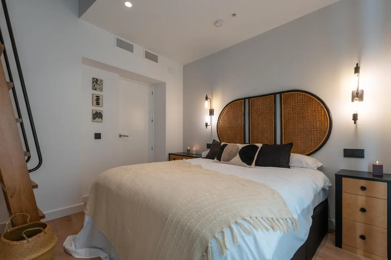 Apartment Exclusive Penthouse In Plaza La Merced Malaga